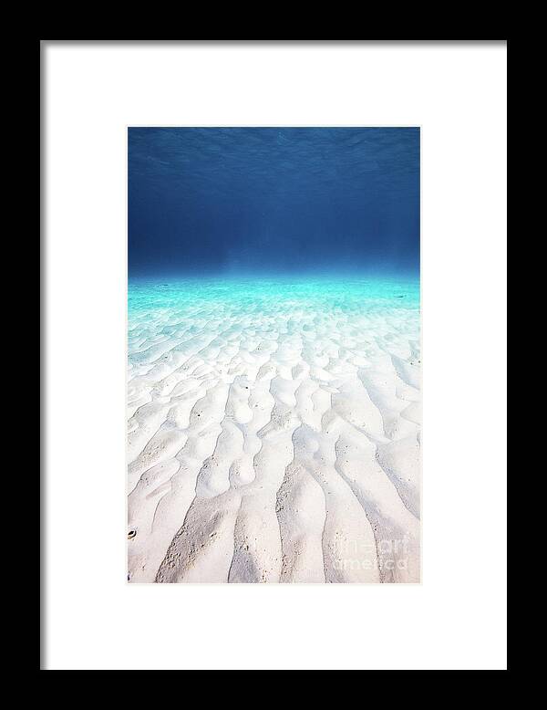 Bonaire Framed Print featuring the photograph Bonaire underwater white sand WA9397 by Mark Graf