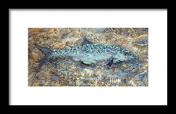 Bonefish Framed Print featuring the painting Bone Fish in shallows by Guy Crittenden