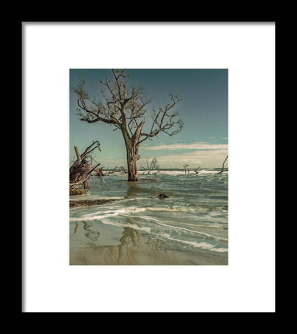  Framed Print featuring the photograph Bones of the Beach, Hunting Island by Marcy Wielfaert