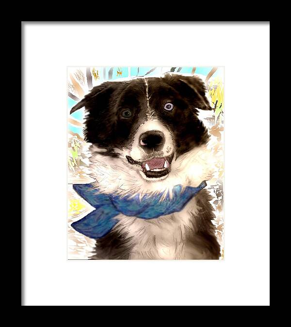 Border Collie Framed Print featuring the mixed media Sweet Border Collie by Pamela Calhoun