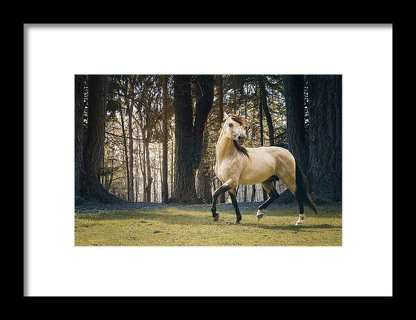 Horse Framed Print featuring the photograph Born to standout - Horse Art by Lisa Saint