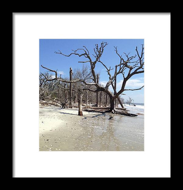 Beach Framed Print featuring the photograph Botany Bay Beach by Catherine Wilson