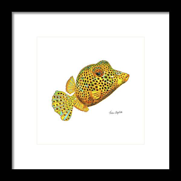 Box Fish Framed Print featuring the painting Box fish by Daniel Jean-Baptiste