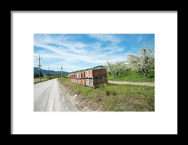 Boxes And Blossoms Framed Print featuring the photograph Boxes and Blossoms by Tom Cochran
