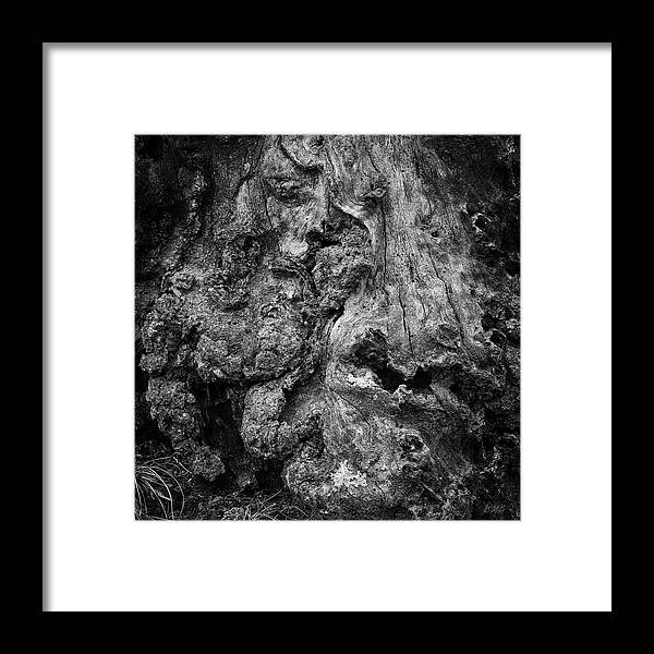 Fine Art Photography Framed Print featuring the photograph Boyden XII BW by David Gordon