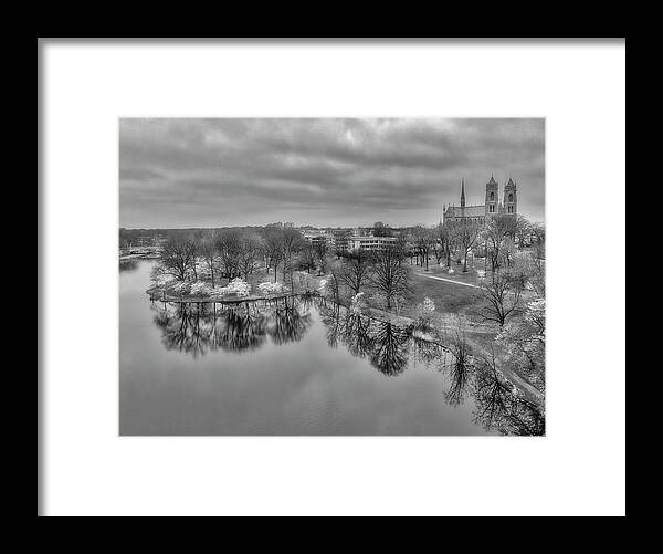 Cherry Blossoms Framed Print featuring the photograph Branch Brook Cherry Blossoms Aerial BW by Susan Candelario