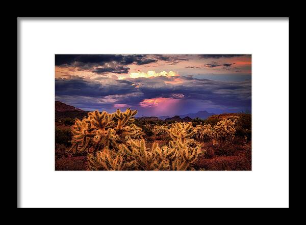 American Southwest Framed Print featuring the photograph Break in the Heat by Rick Furmanek
