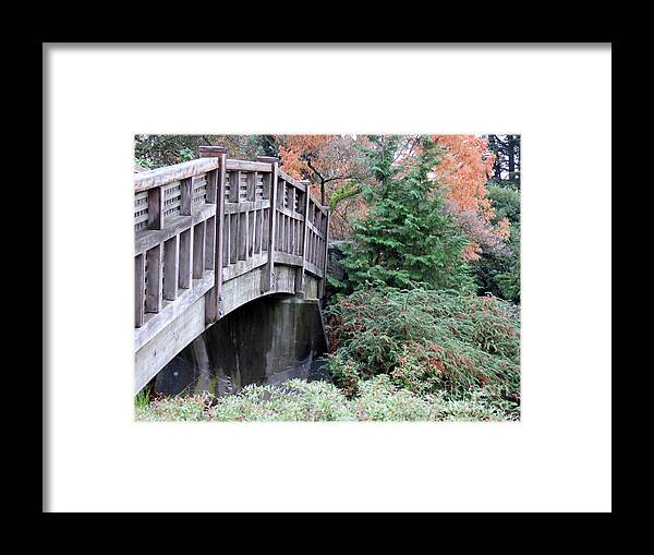 Wood Framed Print featuring the photograph Bridge over Paradise by Mary Mikawoz