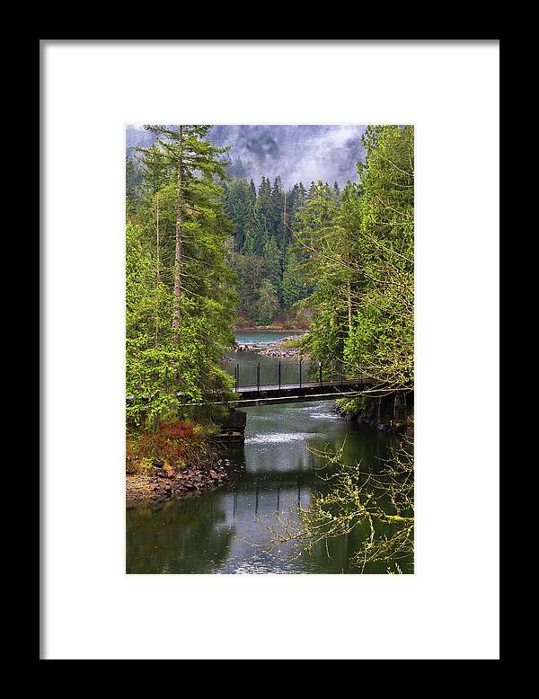 Alex Lyubar Framed Print featuring the photograph Bridge over the forest stream by Alex Lyubar