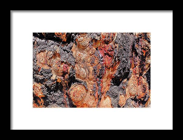 Ambergate Framed Print featuring the photograph Bright Bark #1 by Jay Heifetz