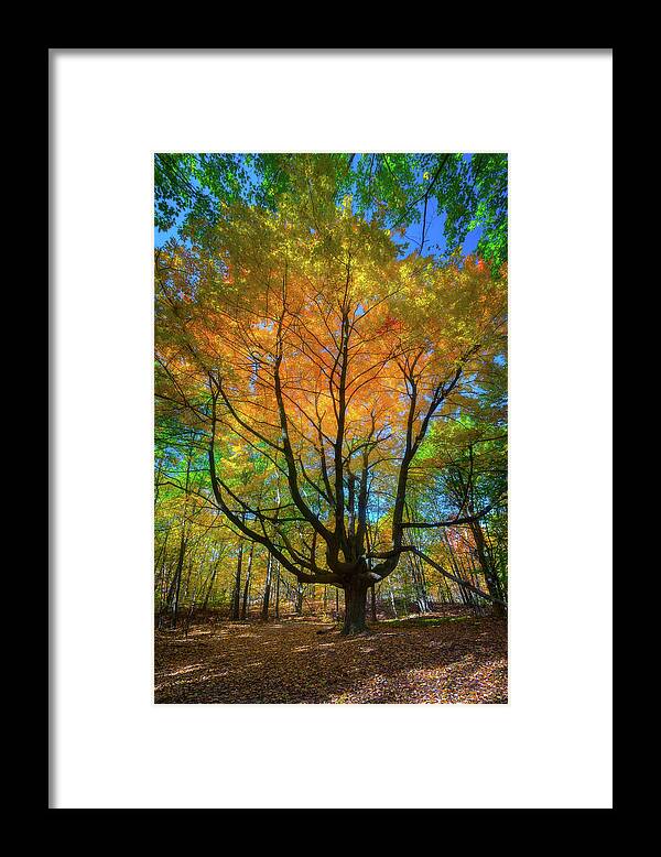 Michigan Framed Print featuring the photograph Brilliant Autumn Colors by Owen Weber