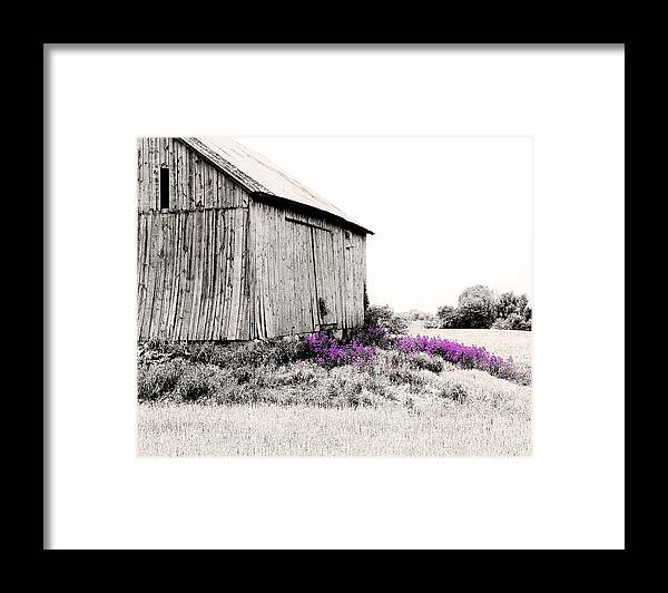 Brillion Framed Print featuring the digital art Brillion Barn with flowers by Stacey Carlson