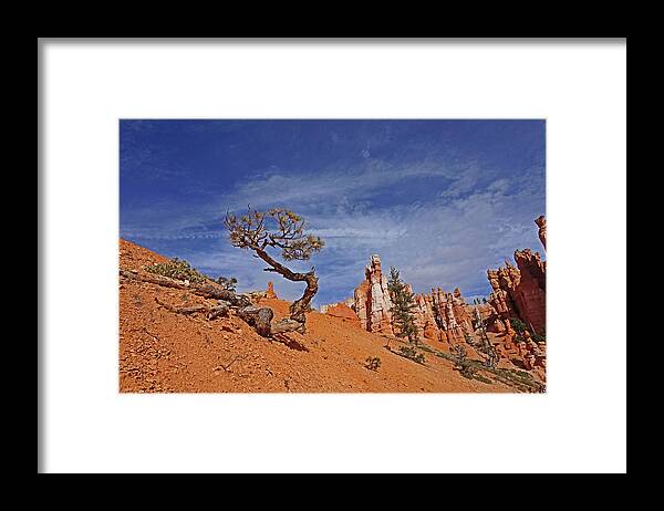 Bryce Canyon National Park Framed Print featuring the photograph Bryce Canyon National Park - Shaped by the Wind by Yvonne Jasinski