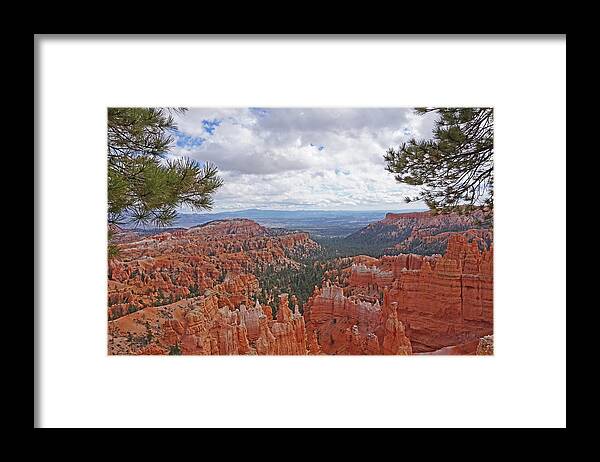 Bryce Canyon National Park Framed Print featuring the photograph Bryce Canyon National Park - Panorama with Branches by Yvonne Jasinski