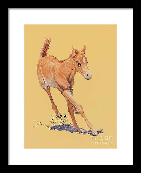 Filly Framed Print featuring the pastel Buckin a Quarter by Joni Beinborn