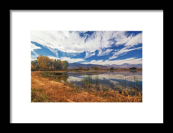 Ponds Framed Print featuring the photograph Buckley Pond by Tassanee Angiolillo