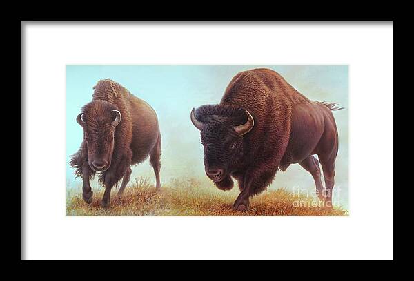 Buffalo Framed Print featuring the painting Buffalo by Hans Droog