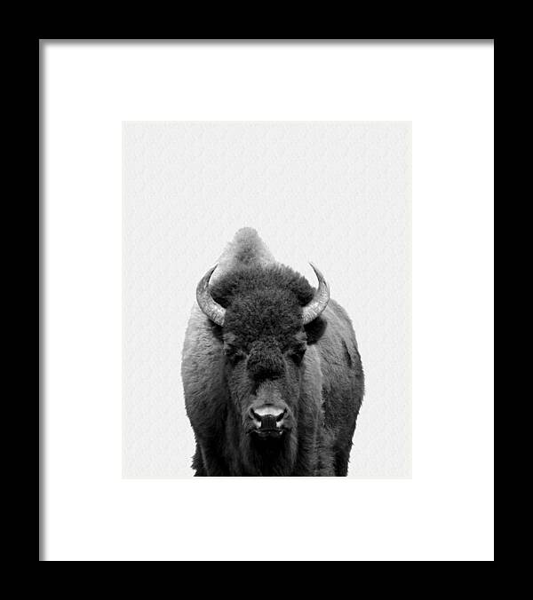 Buffalo Framed Print featuring the photograph Buffalo Photo 135 black and white by Lucie Dumas