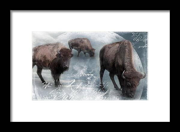 Background Framed Print featuring the photograph Buffalo White Moon by Evie Carrier