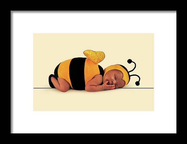 Bee Framed Print featuring the photograph Bumblebee #6 by Anne Geddes