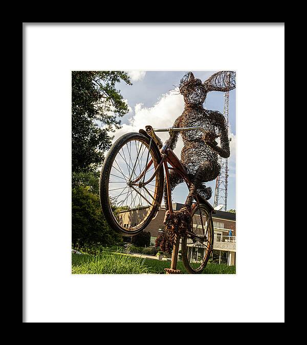 Transportation Framed Print featuring the photograph Bunny Hop by Rick Nelson