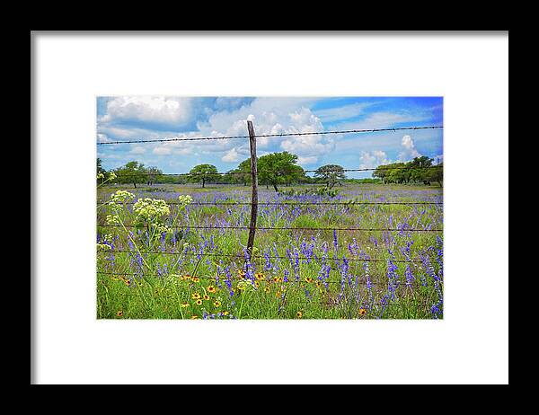 Texas Hill Country Framed Print featuring the photograph Burnet Wildflowers by Lynn Bauer