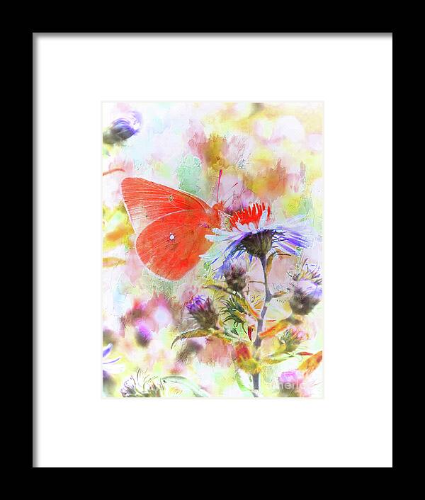 Art Framed Print featuring the digital art Butterfly Art by Elaine Manley
