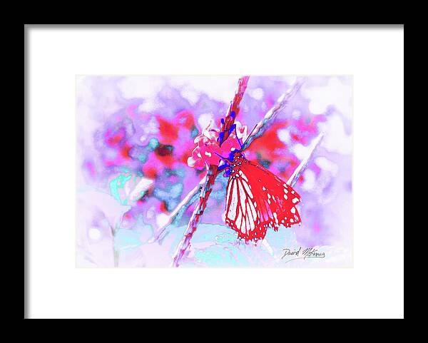 Butterfly Framed Print featuring the digital art Butterfly by David McKinney