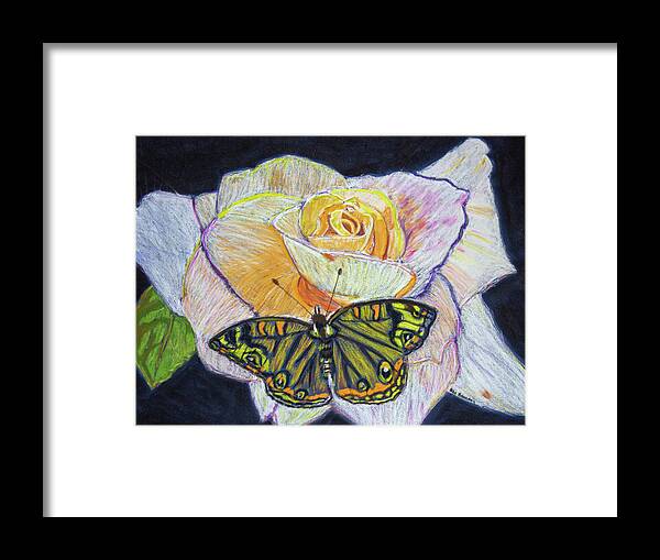 Butterfly Framed Print featuring the drawing Butterfly on a Rose by Ali Baucom