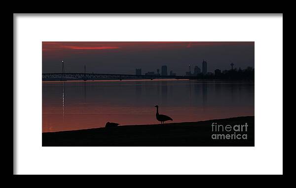 Canada Goose Framed Print featuring the photograph By Yonder Light I Stand Watching Over My Love by Tony Lee