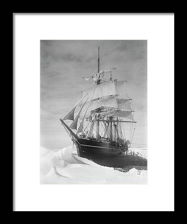 1900s Framed Print featuring the drawing Terra Nova in Antarctic pack ice, 1910 by Scott Polar Research Institute