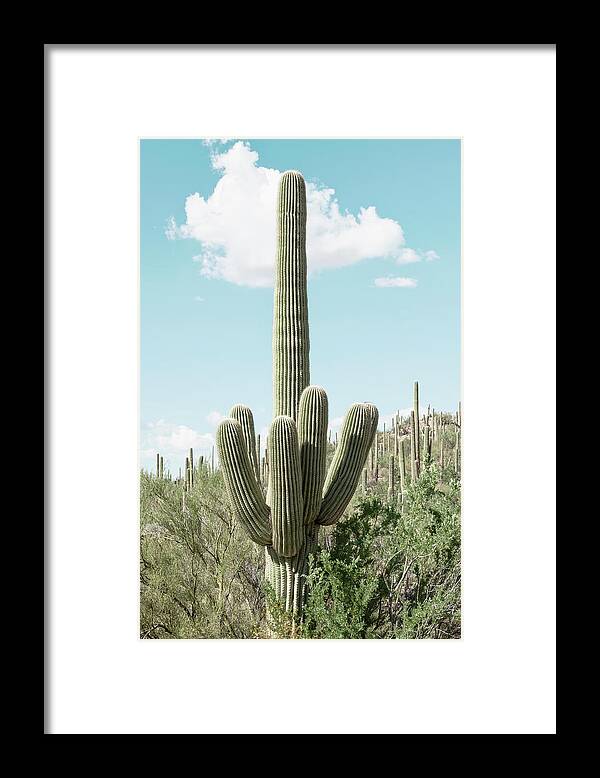 Botanic Framed Print featuring the photograph Cacti Cactus Collection - Green Cactus by Philippe HUGONNARD