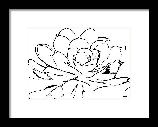 Cactus Framed Print featuring the drawing Cactus - Minimalism Sketch by VIVA Anderson