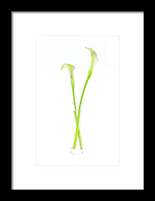 Calla Framed Print featuring the photograph Calla lily in glass vase by Viktor Wallon-Hars