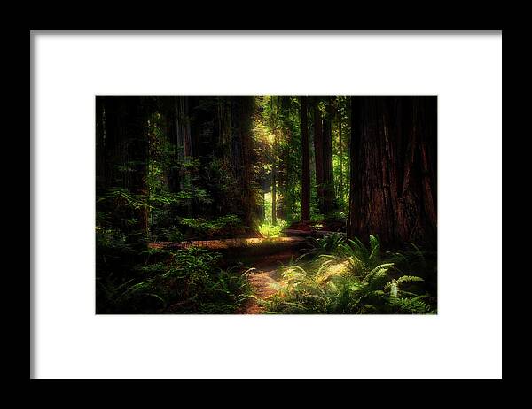 Peaceful Framed Print featuring the photograph Calling Me Deeper by Rick Furmanek