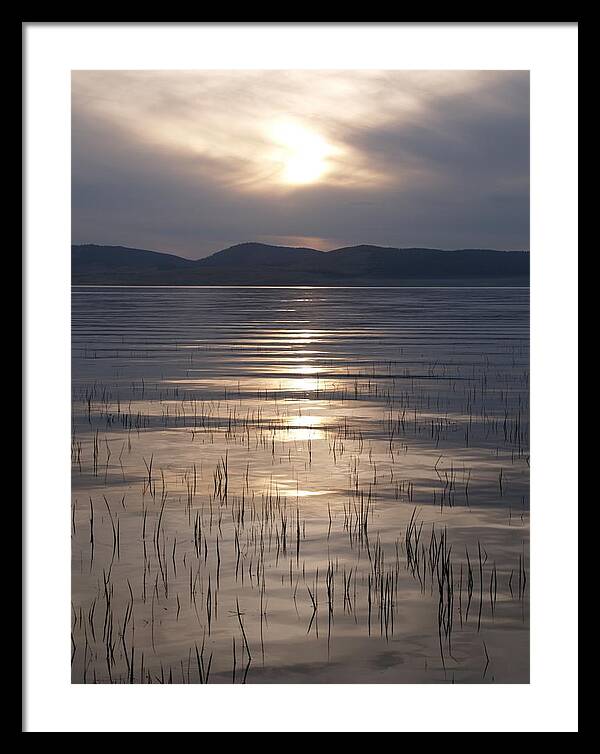 Montana Framed Print featuring the photograph Calm Waters by Tara Krauss