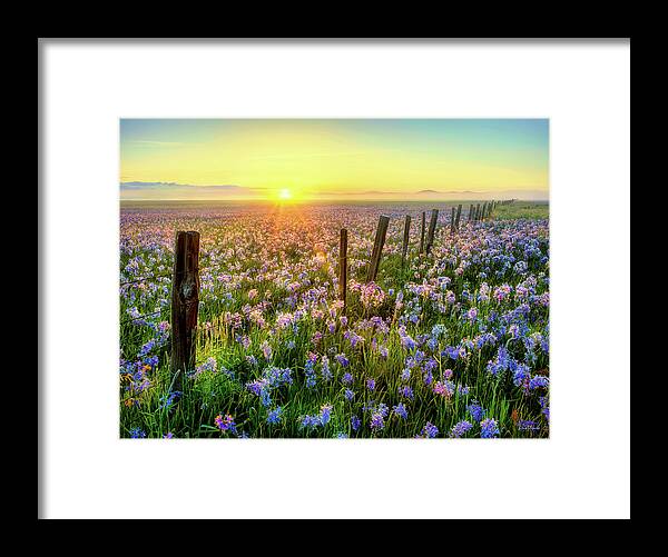 Nature Framed Print featuring the photograph Camas Prairie Morning Idaho by Leland D Howard