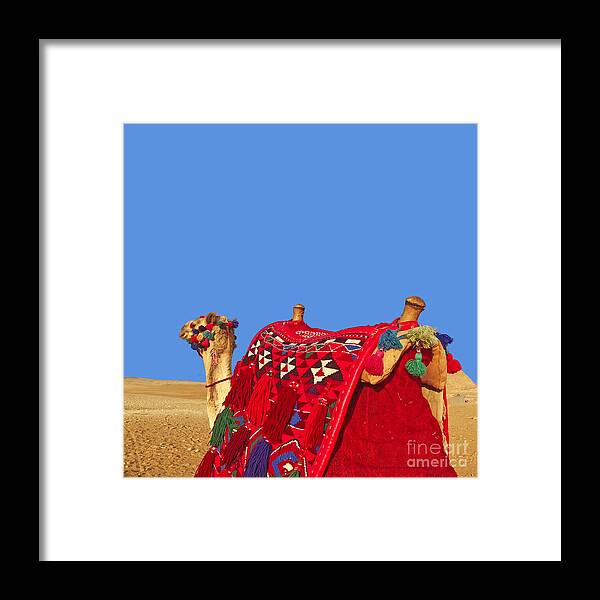 Camel Framed Print featuring the photograph Camel Desert in Blue by Munir Alawi