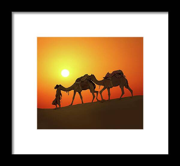 Camel Framed Print featuring the photograph Cameleerand Camels - Silhouette Against Sunset by Mikhail Kokhanchikov
