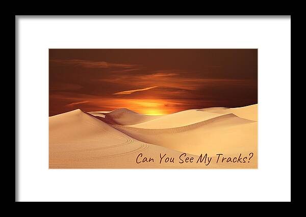 Sand Framed Print featuring the photograph Can You See My Tracks? by Nancy Ayanna Wyatt