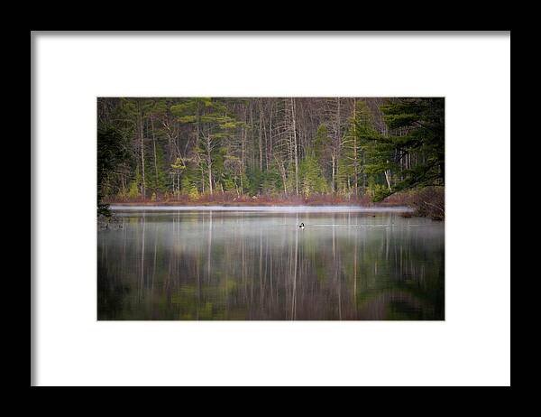Nature Framed Print featuring the photograph Canada Goose on a Misty Swift River Morning by William Dickman