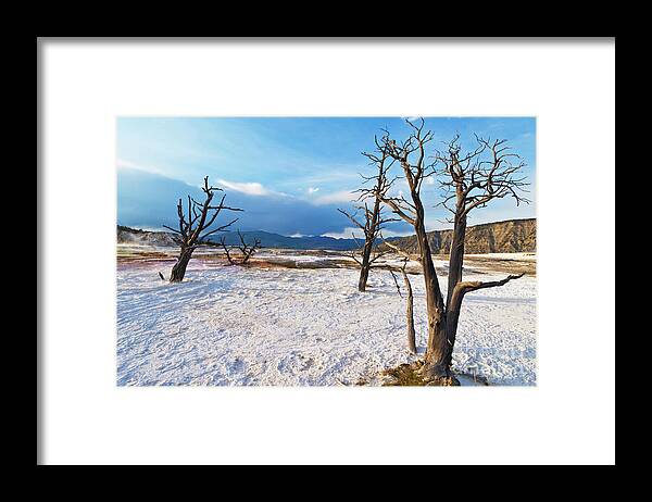 Canary Spring Framed Print featuring the photograph Canary spring, Mammoth Hot Springs, Yellowstone National Park, Wyoming, USAs by Neale And Judith Clark