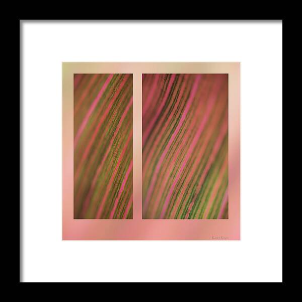 Abstract Framed Print featuring the photograph Canna by Karen Rispin