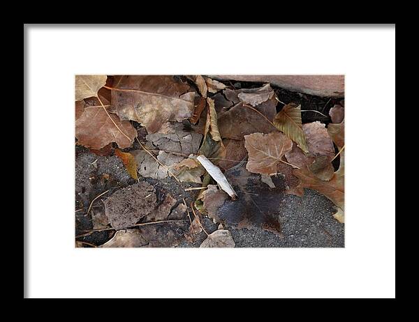 Cannabis Framed Print featuring the photograph Cannabis in the Park by Valerie Collins