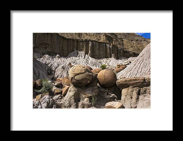 Scenics Framed Print featuring the photograph Cannonball Concretions by Mark Newman