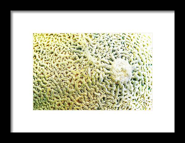 Foodphotography Framed Print featuring the photograph Can't Elope by Jay Heifetz