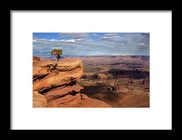Canyonlands Framed Print featuring the photograph Canyonlands Vista at Grand View Point Overlook by Peter Herman