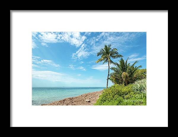 Palm Framed Print featuring the photograph Cape Florida Beach by Beachtown Views