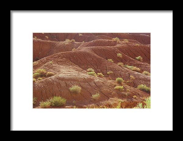 Capitol Reef Framed Print featuring the photograph Capitol Abstract by Aaron Spong