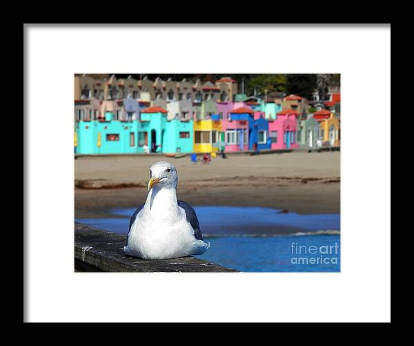 Capitola Framed Print featuring the photograph Capitola And The Seagull by Claudia Zahnd-Prezioso
